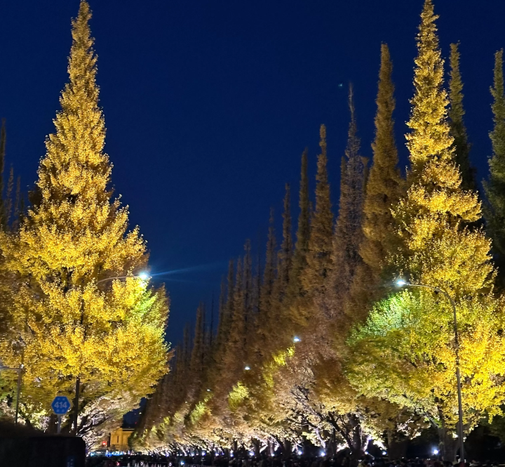 How to Enjoy Jingu Stadium | Guide to Surrounding Area and Access