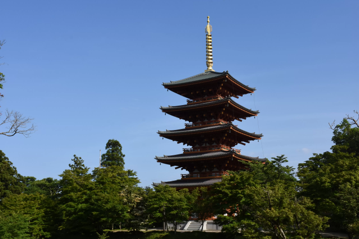 成相寺紅葉ライトアップ