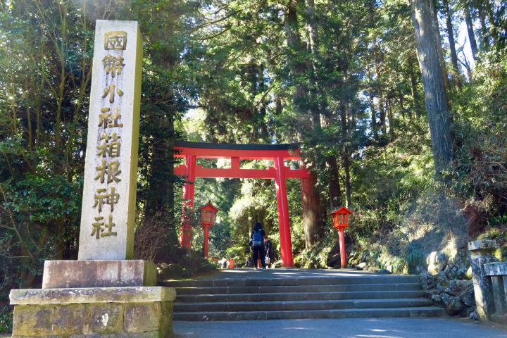 [Kanagawa, Shizuoka] Visit Hakone Shrine, Mishima Skywalk, and Izu Shuzenji Autumn Leaves Walk