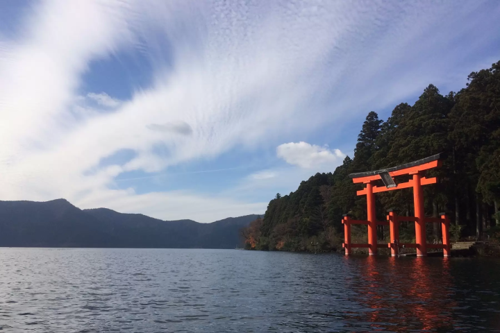 [Kanagawa, Shizuoka] Visit Hakone Shrine, Mishima Skywalk, and Izu Shuzenji Autumn Leaves Walk