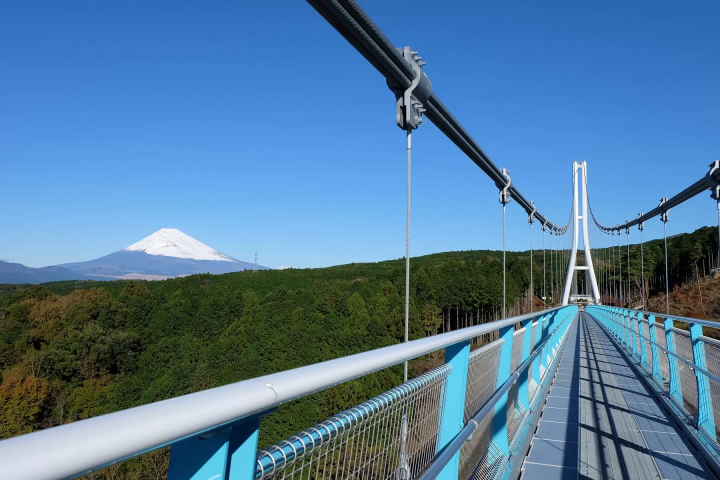 [Kanagawa, Shizuoka] Visit Hakone Shrine, Mishima Skywalk, and Izu Shuzenji Autumn Leaves Walk