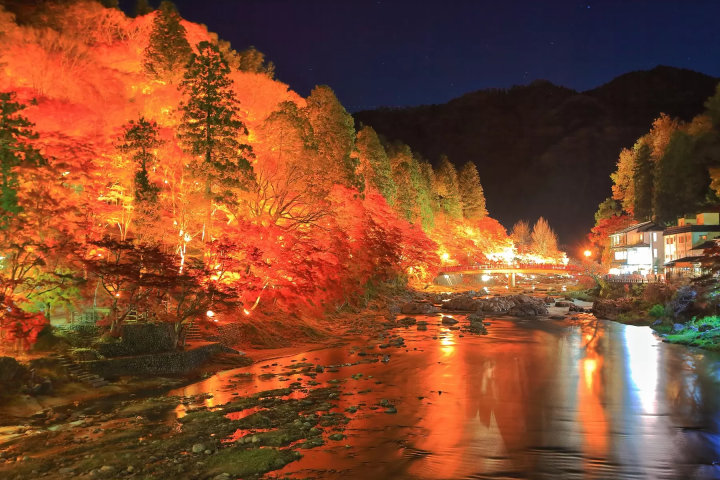 [아이치·기후] 가을에만 볼 수 있는 절경을 버스로 만나러 떠나는 여행! 고란케이, 오바라 시키자쿠라, 마고메주쿠