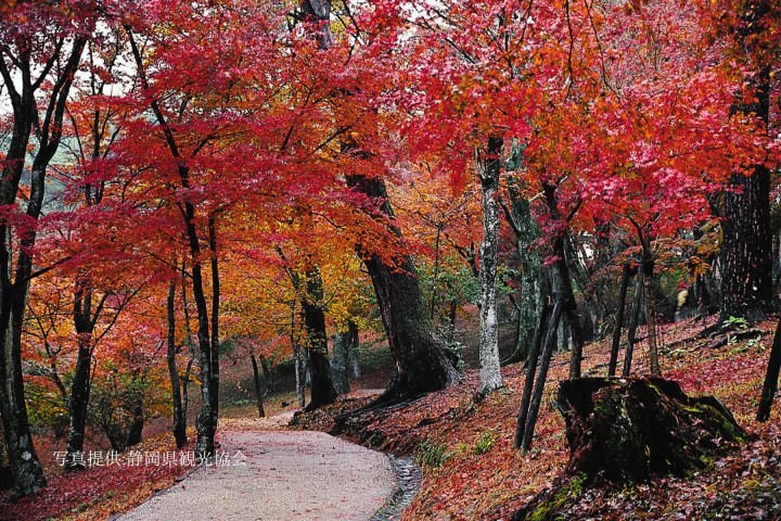 Shuzenji Natural Park