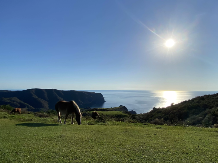 【Access】The Best Ways to Get To Nishinoshima Town From Nagoya