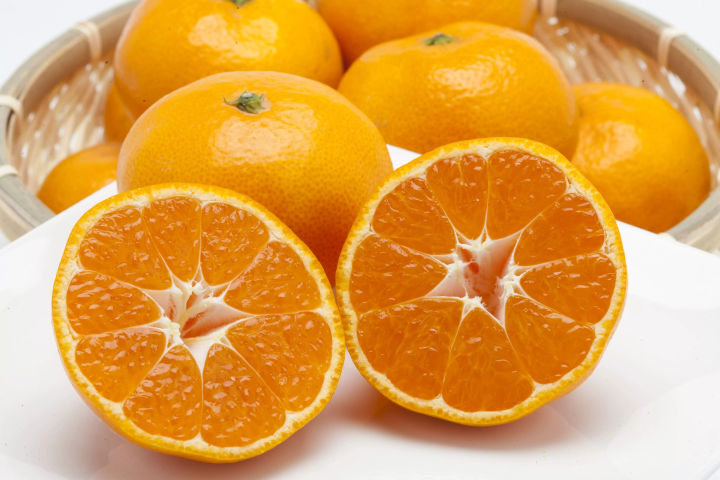 [Wakayama Guide] When you think of Wakayama, you think of mandarin oranges! The second installment of the autumn appetite series!の画像