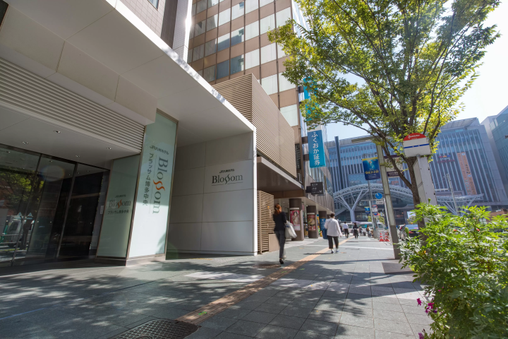 Start your trip in Hakata | Introducing the charm of Kyushu, a treasure trove of experiences, and recommended places to stay in Hakata!