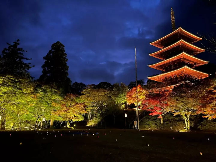成相寺紅葉ライトアップ