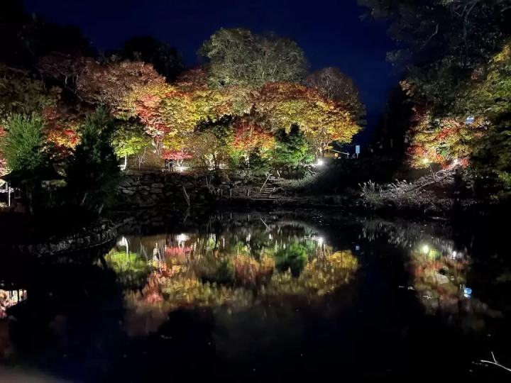 水面に映る紅葉<br>