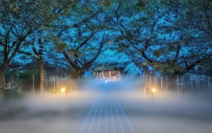 ZEN NIGHT WALK KAMAKURA: Neuro‑Music and Illuminated Gardens