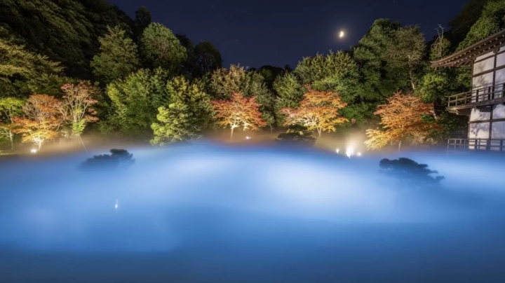 ZEN NIGHT WALK KAMAKURA: Neuro‑Music and Illuminated Gardens