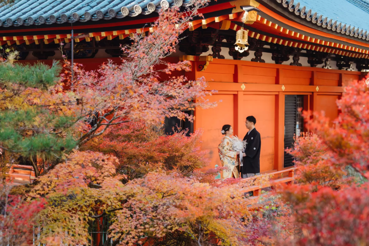 카메라를 가지고 일본으로 여행을 떠나자! 일본 전국 추천 촬영 스폿 16선