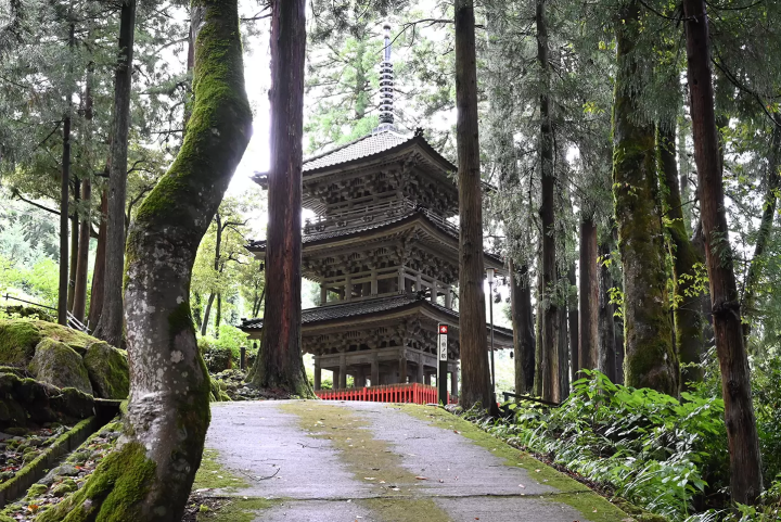 The Mie pagoda of Nissekiji Temple. The fresh air in the temple grounds makes walking around the temple grounds feel as pleasant as forest bathing. 