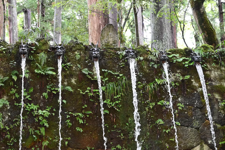 Purify your body and mind under a waterfall—Experience Japanese culture and spirit at Oiwasan Nissekiji Temple in Toyama