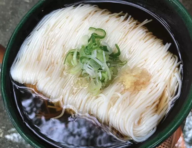 Purify your body and mind under a waterfall—Experience Japanese culture and spirit at Oiwasan Nissekiji Temple in Toyama