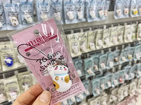 Hands Nagoya Store's Top 4 Best Buys