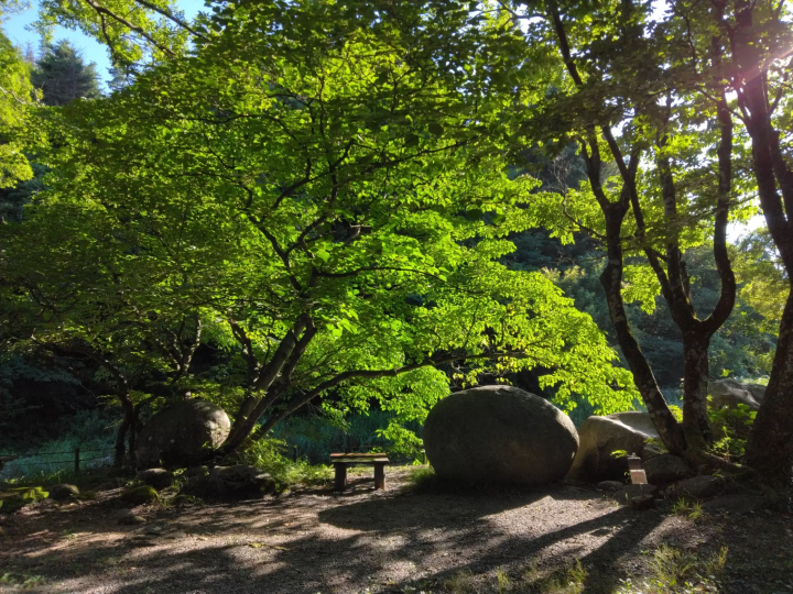 魅力镭温泉！新潟“五头温泉乡”美食、观光、温泉景点完全指南