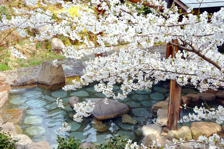 魅力镭温泉！新潟“五头温泉乡”美食、观光、温泉景点完全指南