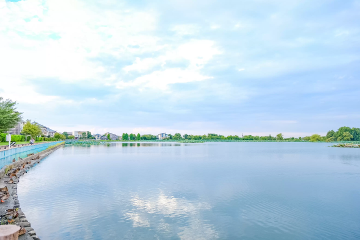 魅力镭温泉！新潟“五头温泉乡”美食、观光、温泉景点完全指南