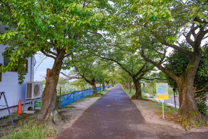 魅力镭温泉！新潟“五头温泉乡”美食、观光、温泉景点完全指南