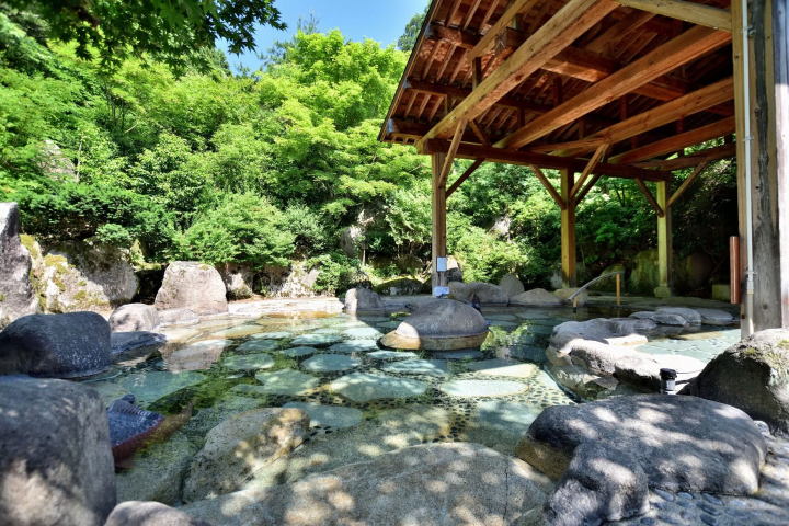 Discover Gozu Onsen-go: Niigata's Secret Hot Spring Getaway. Top Ryokans & Day Trips!