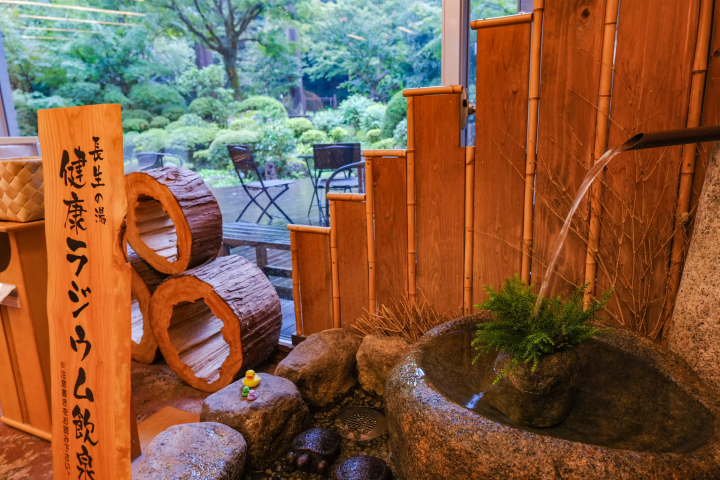 Discover Gozu Onsen-go: Niigata's Secret Hot Spring Getaway. Top Ryokans & Day Trips!