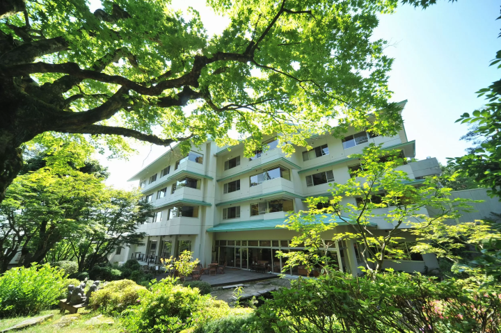 Discover Gozu Onsen-go: Niigata's Secret Hot Spring Getaway. Top Ryokans & Day Trips!