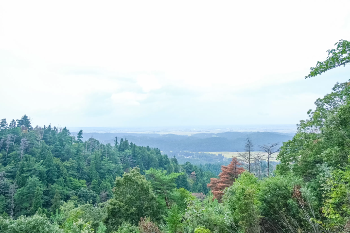 Discover Gozu Onsen-go: Niigata's Secret Hot Spring Getaway. Top Ryokans & Day Trips!