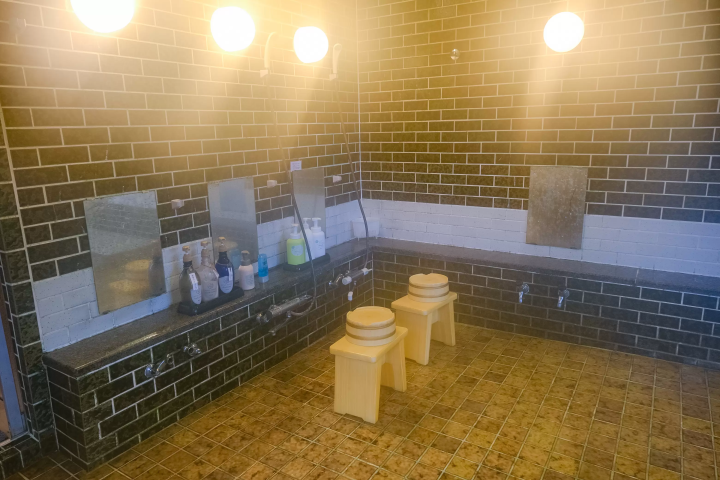 Discover Gozu Onsen-go: Niigata's Secret Hot Spring Getaway. Top Ryokans & Day Trips!