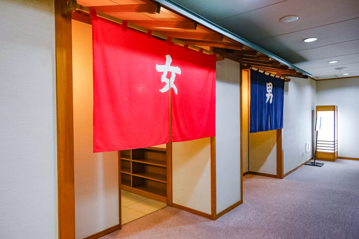 Discover Gozu Onsen-go: Niigata's Secret Hot Spring Getaway. Top Ryokans & Day Trips!