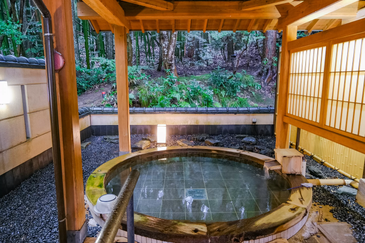 Discover Gozu Onsen-go: Niigata's Secret Hot Spring Getaway. Top Ryokans & Day Trips!