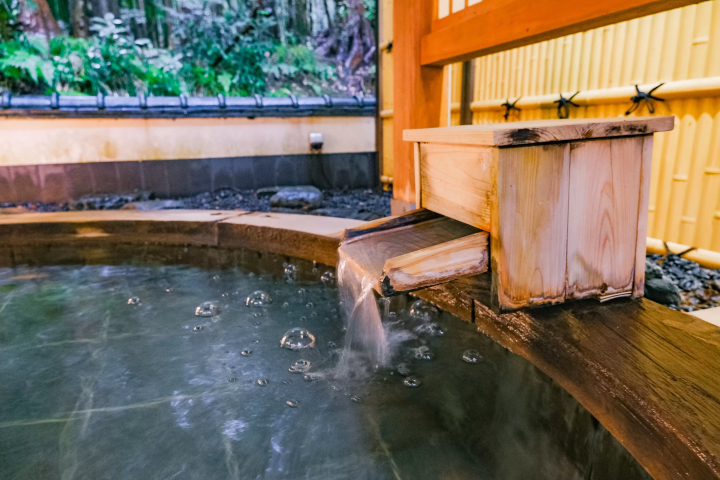 Discover Gozu Onsen-go: Niigata's Secret Hot Spring Getaway. Top Ryokans & Day Trips!