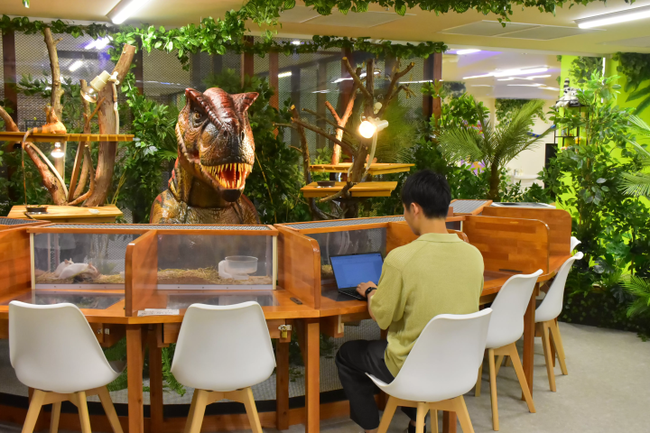 Give capybaras treats indoors!? A comprehensive guide to the indoor petting zoo "AniTouch"