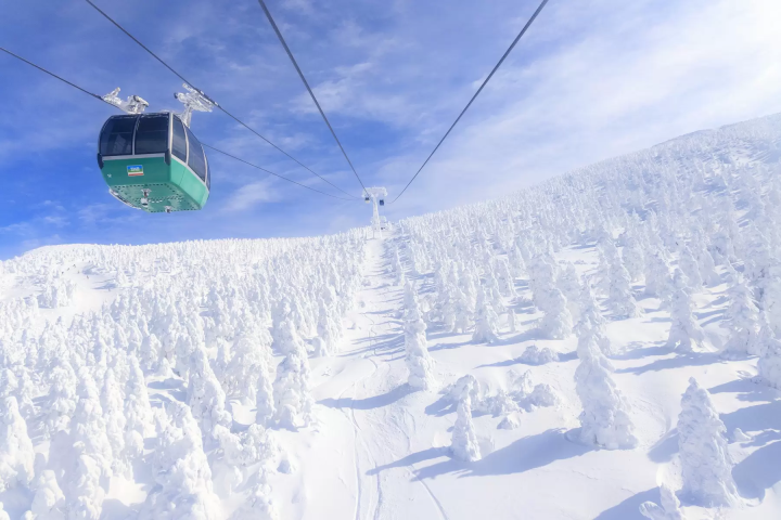 【福岛、宫城、山形】东北冬季漫步——探索冰霜树、温泉与历史
