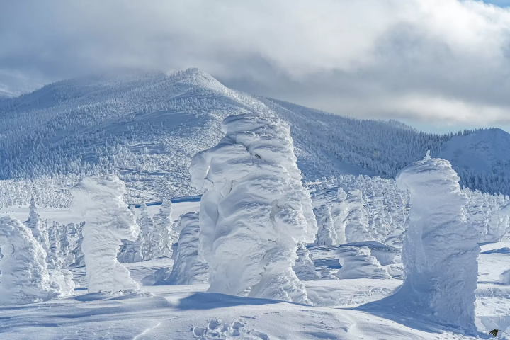 [후쿠시마, 미야기, 야마가타] 동북지방 겨울 산책 - 수빙과 온천, 역사 탐방