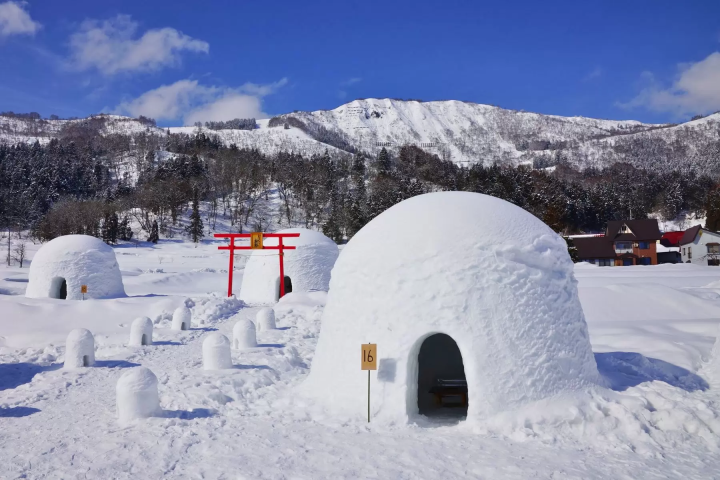 巡游让白雪皑皑的冬季更加绚烂的“镰仓”祭典：横手、小野川、汤西川、饭山、中尾
