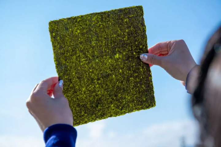 [Food and History] A journey through the deep charms of Matsusaka City , Mie Prefecture