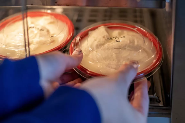 [Food and History] A journey through the deep charms of Matsusaka City , Mie Prefecture