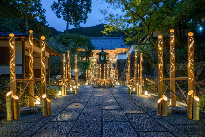 Kyoto's Dazzling Lantern Events at Arashiyama and Nishiyama