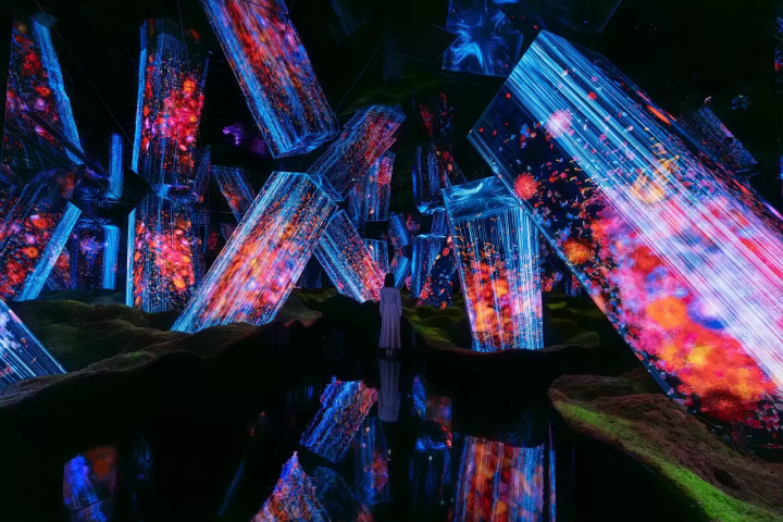 teamLab Biovortex Kyoto: 50 Dazzling Interactive Artworks