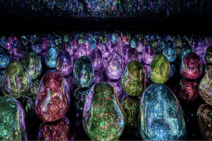 teamLab Biovortex Kyoto: 50 Dazzling Interactive Artworks