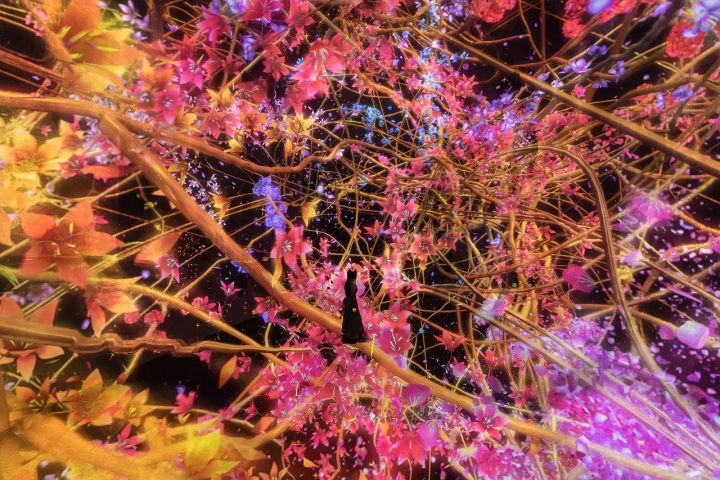 teamLab Biovortex Kyoto: 50 Dazzling Interactive Artworks