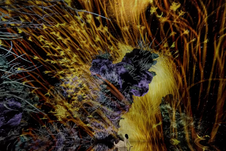 teamLab Biovortex Kyoto: 50 Dazzling Interactive Artworks