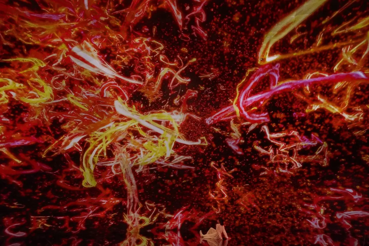 teamLab Biovortex Kyoto: 50 Dazzling Interactive Artworks