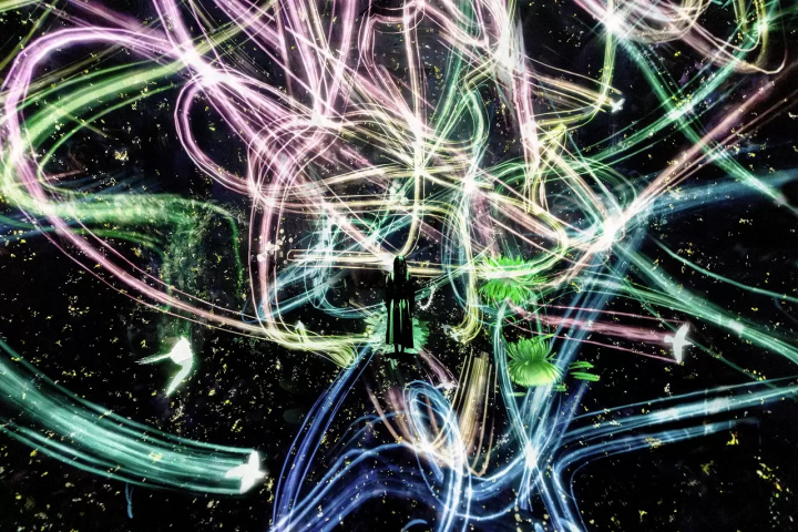 teamLab Biovortex Kyoto: 50 Dazzling Interactive Artworks