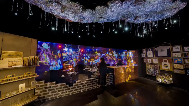 teamLab Biovortex Kyoto: 50 Dazzling Interactive Artworks