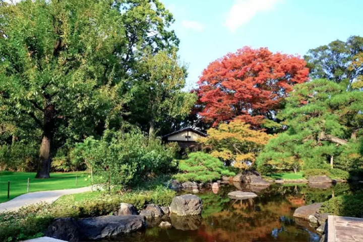 Osaka garden