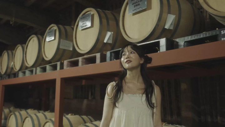 [佐贺] 酒厂、水中鸟居、点灯的祐德稻荷神社的梦幻夜游