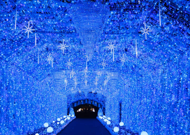 御殿場高原 時之栖 25週年燈飾「光之住所」富士山主題樹與約300公尺的光之隧道