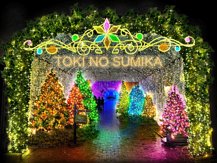 御殿場高原 時之栖 25週年燈飾「光之住所」富士山主題樹與約300公尺的光之隧道