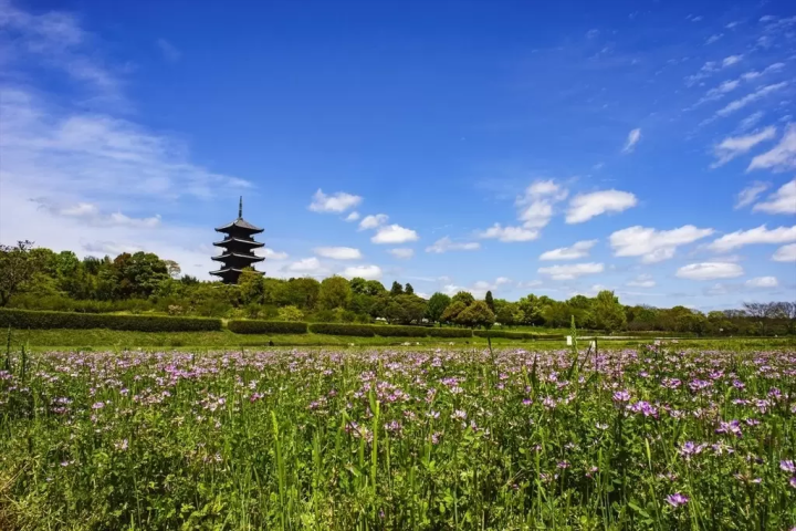 [Beautiful Japanese history and culture that no one knows about yet] 8 carefully selected spots for "Kibi Romance"in Okayama Prefecture!